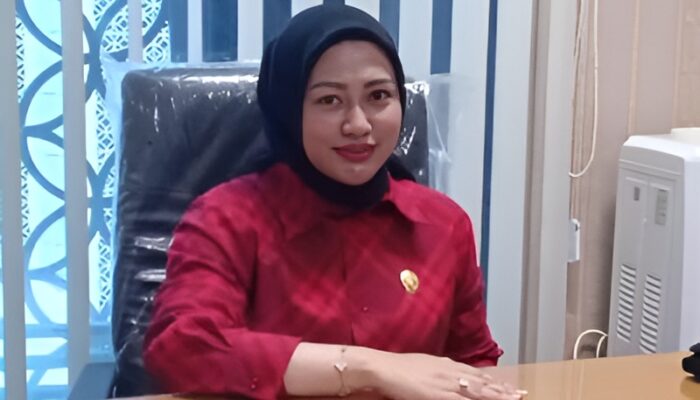 Ketua DPRD Sumut, Erni Aryanti Sitorus.